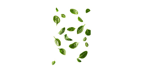 Fresh Spinach Leaves Floating. Healthy Eating And Nutrition Concept Isolated On Transparent Background