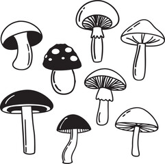 vector illustration of mushrooms