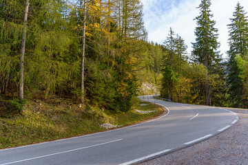 Naklejka premium A curved paved road winds through a forest of evergreen and yellow-leaved trees, creating a peaceful autumn landscape ideal for scenic drives or walks.