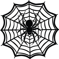 Obraz premium Black spider on intricate web arachnid creepy