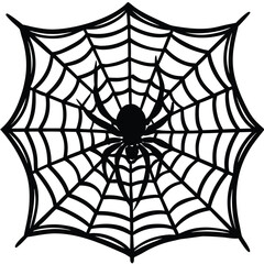 Obraz premium Black spider on web halloween arachnid