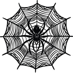 Obraz premium Black spider web with spider white arachnid