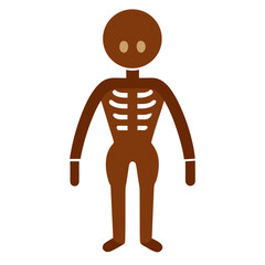 Brown human skeleton icon on white background.