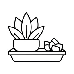 Succulent and Money Plant Combo in Decorative Tray