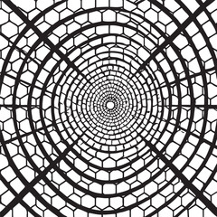 Obraz premium Geometric Fusion Web Abstract Black and White Hexagon and Line Vector Pattern