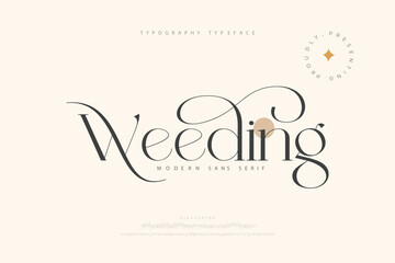 Weeding Elegant Serif Font. Modern Calligraphy Wedding Typeface.  Typography beautiful fashion elegant classic letters serif italic fonts decorative wedding vintage retro logos. vector illustration
