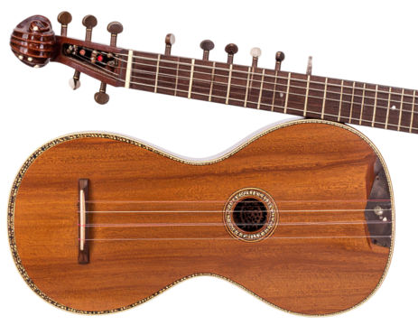 Classic Indian Sitar with Ornate Wooden Neck and Strings, Close-Up, Isolated PNG