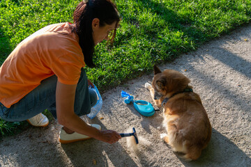 Outdoor Pet Grooming: Woman Brushing a Shedding Dog in a Park for Healthy Fur