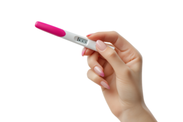 Woman's hand holding a pink and white digital pregnancy test isolated on a transparent background female