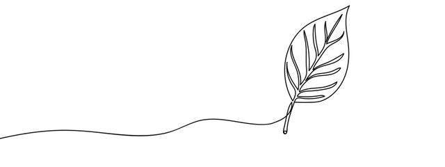 Continuous hand drawn line, leaves, isolated Simple art lines, vector on transparent background, editable strokes.
