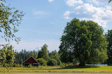 rural landscape with wooden house