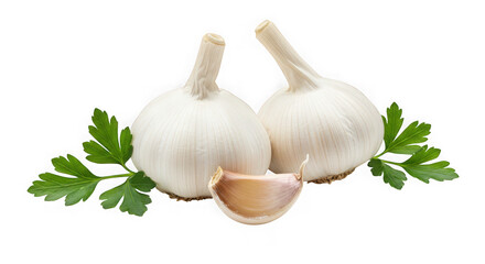 Two whole garlic bulbs and a clove with fresh parsley sprigs isolated on a clean transparent background in a studio setting