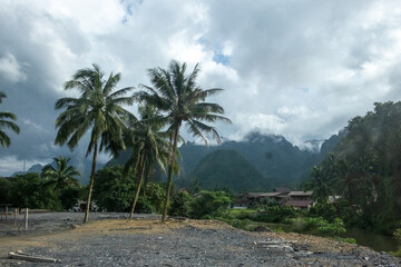 Palm Trees Against Mountainous Laos Landscape