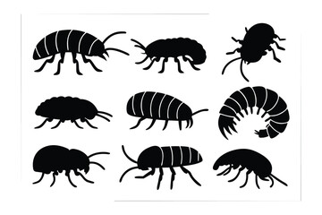 Silhouettes of various insect species displayed against a white background featuring ants beetles and other arthropods