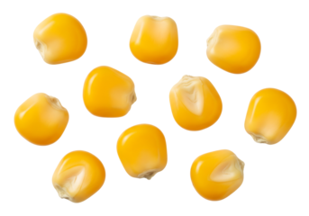 Several yellow corn kernels, popcorn or maize seeds, top view. Isolated on transparent background, png