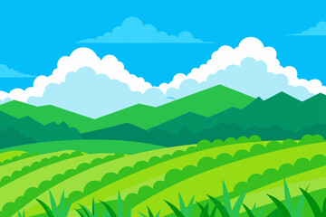 Lush Green Rice Paddies Rural Vector Illustration