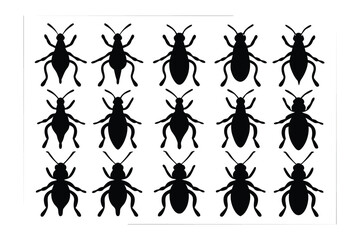 Collection of fifteen distinct black beetle silhouettes showcasing varied anatomical features and wing casing patterns on a white background