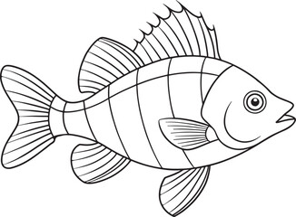 Cute perch fish drawing perfect for educational children coloring books and underwater designs