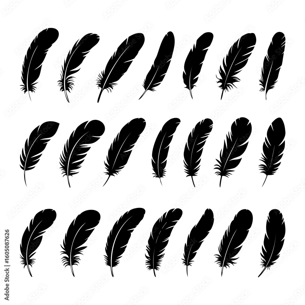Poster collection of twenty one black feathers arranged in rows on a transparent background