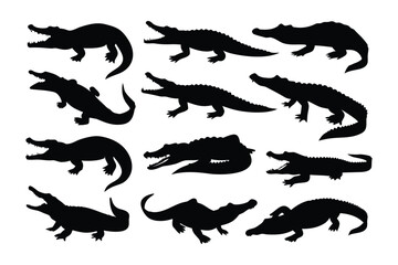 Dynamic silhouettes of powerful panthers in various poses showcasing agility and strength on rocky terrain