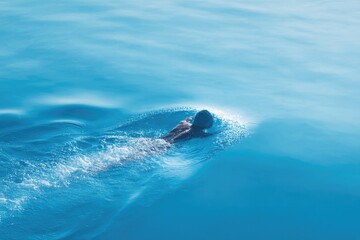 minimalistic swimmer in crystal clear water perfect form gliding through serene aquatic environment accompanied by