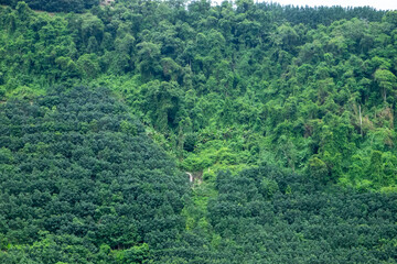 Deforested Hillside in Northern Laos