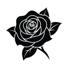 rose vector illustration
