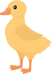 Yellow gosling cute childish cartoon illustration isolated on white background. Flat design element.