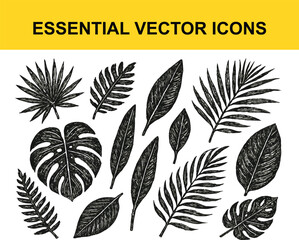 Hand Drawn Tropical Leaves Collection Black and White
