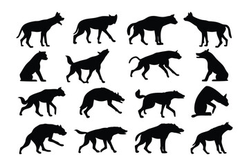 Collection of silhouetted seals in various poses demonstrating their unique body shapes and flippers