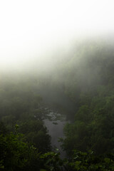 mist in the mountains