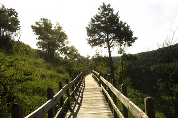 wooden bridge in the mountains