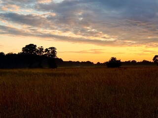 fantastic sunset in the field, twilights sky in the summer field