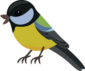 Great tit. Small songbird Parus major. Eurasian forest fauna. Flat graphic vector illustration isolated on white background.