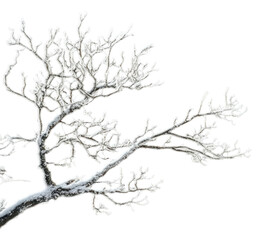 PNG Snow frost weather nature gray.