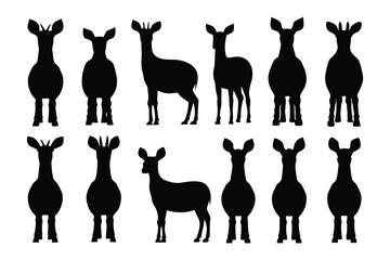 Collection of silhouetted porcupines in various poses showing their spiky quills and distinctive shapes