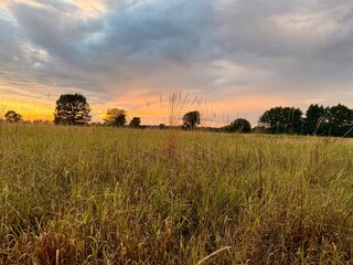 fantastic sunset in the field, twilights sky in the summer field