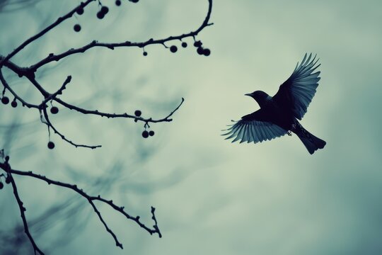 Starling gracefully flies and lands on a branch amidst a moody sky at dusk, starling flies and sits on a branch