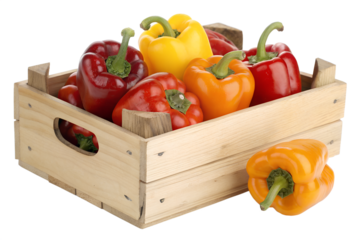 colorful bell peppers
