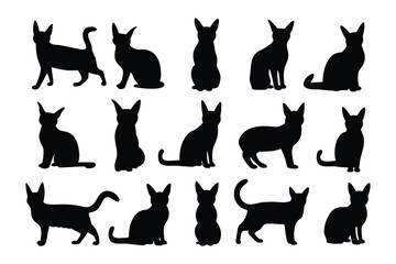 Collection of fifteen ornate black floral silhouette motifs with symmetrical petal and leaf designs