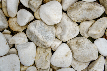 Smooth light-colored stones of various shapes and sizes are closely arranged, forming a unified stone surface. 