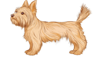 Professional Australian Terrier Vector Illustration Isolated on White Background