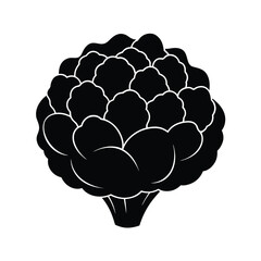 vector illustration of a cauliflower