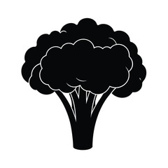 vector illustration of a broccoli