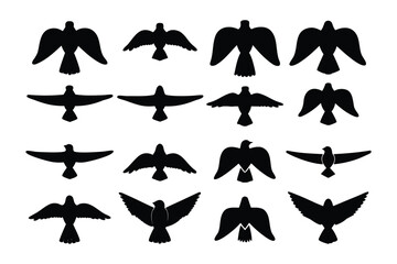 Collection of silhouetted geese and swans in various poses against a white background