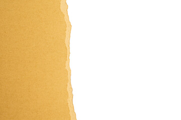 Torn edge of golden paper on transparent background
