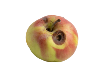 Apple with deep rot spots isolated on transparent background
