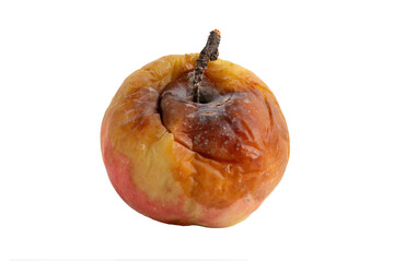 Severely rotten apple isolated on transparent background
