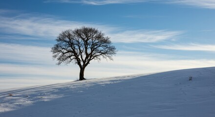 Solitary tree silhouette atop snow covered hill against a expansive blue sky