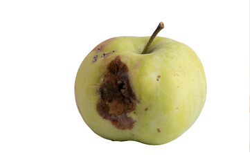 Green apple with rot and bruises on transparent background
